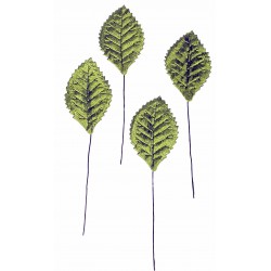 Corsage Leaves -  Green (100pcs per pk, 15cm long)