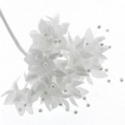 Pearled Baby's Breath - White (6 bunches x 12 stems)