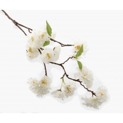 Small Cherry Blossom Spray - Cream (75cm Long)