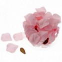 Rose Petals - Blush Pink (164pcs per pk)