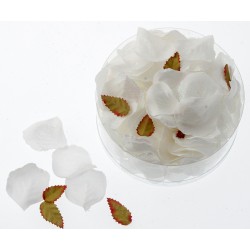 Glittered Rose Petals - White with Iridescent Glitter (164pcs per pk)