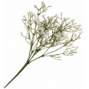 Gypsophila Spray - White & Green (30cm long, 5 stems per pk)