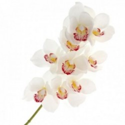 Real Touch Cymbidium Orchid - Cream (70cm long, 9 heads)