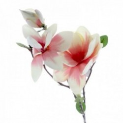 Magnolia - Pink (4 heads & 2 buds, 85cm long)