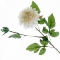 Dahlia - Cream (1 flower & 1 bud, 64cm long)