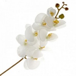 Real Touch Phalaenopsis Orchid - Cream (8 heads, 99cm long)