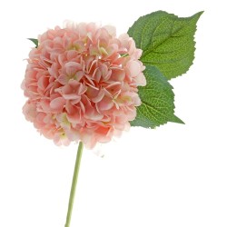Single Hydrangea - Pink (19cm diameter, 82cm long)