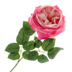 Garden Rose - Hot Pink (50cm long)