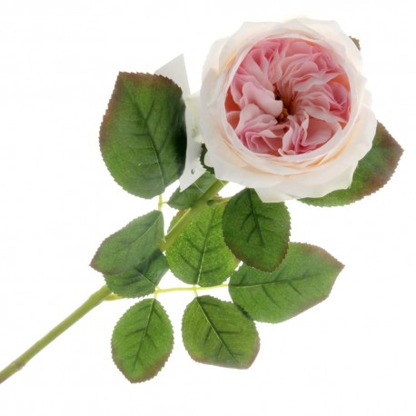 Garden Rose - Light Pink (60cm long)