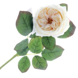 Garden Rose - Cream (50cm long)