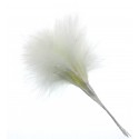 Fluffy Feathers - Cream (24cm Long, 6pcs per pk)