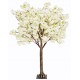 Cherry Blossom Tree - Cream (1.8m tall)