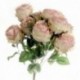 Peony Rose Bush - Pink/Cream (10 heads)
