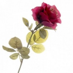 Rose - Burgundy (70cm long)
