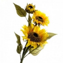 Sunflower - Yellow & Green (88cm long, 3 heads)