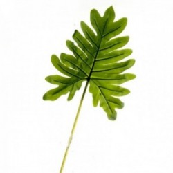 Real Touch Philodendron Leaf - Green (104cm long)