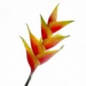 Artificial Heliconia Stem - Natural (91cm long)
