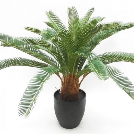 Potted Cycas - Natural (72cm long)