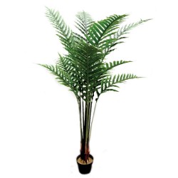 Parlour Palm Tree with Pot - Natural (180cm tall, 11 fronds)