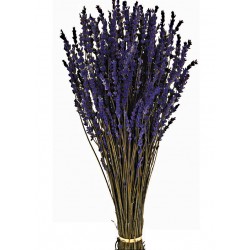 Preserved Lavender - Purple (150g)