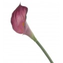 Real Touch Calla Lily - Dark Purple (68cm long)