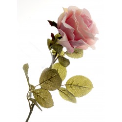 Rose - Light Pink (70cm long)