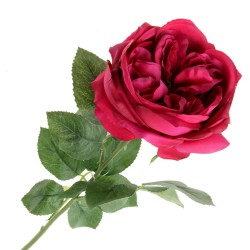 Garden Rose - Cerise (50cm long)