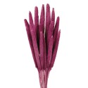 Babala - Purple (75cm tall, 15pcs per pk)