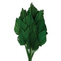 Palm Spear - Green (10pcs per pk)