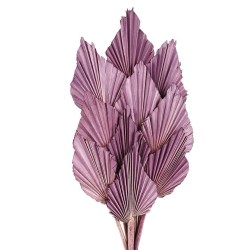 Palm Spear - Lilac (10pcs per pk)