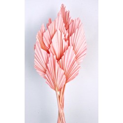 Palm Spear - Light Pink (10pcs per pk)