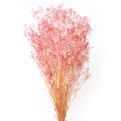 Preserved Gypsophila - Light Pink (100g per pack, 60cm long)