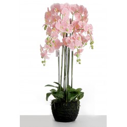 Real Touch Artificial Orchids In Moss Pot - Pink (110cm tall, 9 stems)