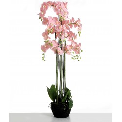 Real Touch Artificial Orchids In Moss Pot - Pink (150cm tall, 13 stems)