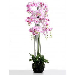 Real Touch Artificial Orchids In Moss Pot - Purple/White (150cm tall, 13 stems)