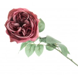 Garden Rose - Dusty Rose (50cm long)