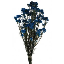 Preserved Rice Flower - Blue (60cm tall, 100g)