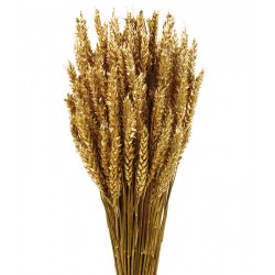 Wheat - Gold (60cm tall)