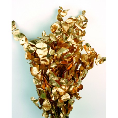 Preserved Spiral Eucalyptus - Gold (150g per pack, 50-80cm tall)