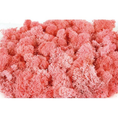 Preserved Finland Moss - Pink (500g)