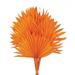 Sun Palm - Orange (6pcs per pk)