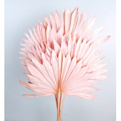 Sun Palm - Light Pink (6pcs per pk)