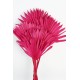 Sun Palm - Hot Pink (6pcs per pk)