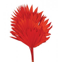 Sun Palm - Red (6pcs per pk)