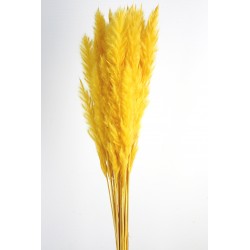 Pluma Decorativa - Yellow (50/60cm long, approx. 20pcs per pk)