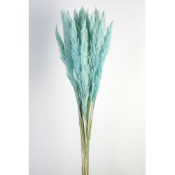 Pluma Decorativa - Turquoise (50/60cm long, approx. 20pcs per pk)