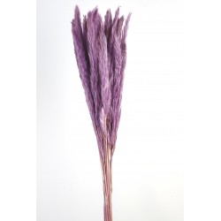 Pluma Decorativa - Lilac (50/60cm long, approx. 20pcs per pk)