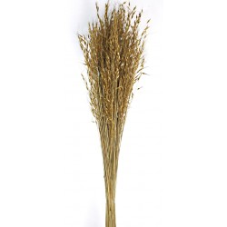 Princess Grass - Natural (100cm long)