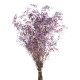 Preserved Gypsophila - Dusty Purple (100g per pack, 60cm long)