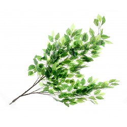Ficus Branch - Green (90cm long)